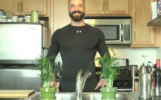 Anthony DiClementi: Exploring the Science of Resilience and Recovery