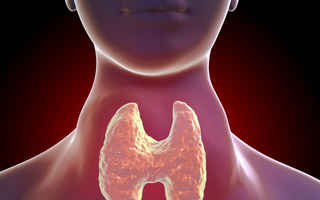 Soothing the Storm: Thyroid Inflammation Management