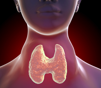 Soothing the Storm: Thyroid Inflammation Management