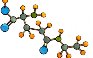Best L-Theanine Alternatives for Sleeping