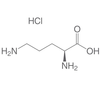 Best L-Ornithine Alternatives for Sleeping
