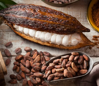 Best Theobromine Alternatives for Sleeping