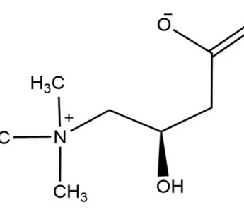 Best Acetyl-L-Carnitine Alternatives for Sleeping