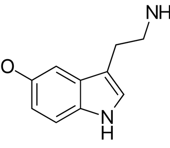 Best Serotonin Precursors Alternatives for Sleeping