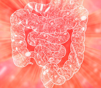 Top 10 Proven Benefits of Probiotics for Gut and Overall Health - Pulsetto