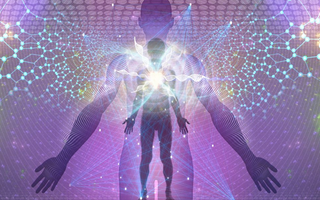 Best Biohacking Technology in 2026 - Pulsetto