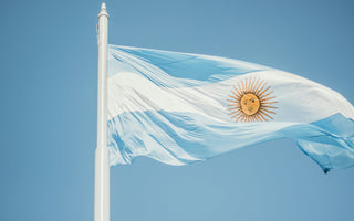 Best Vagus Nerve Stimulation Devices in Argentina - pulsetto