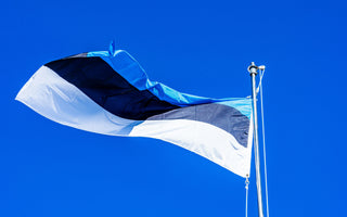 Best Vagus Nerve Stimulation Devices in Estonia - Pulsetto