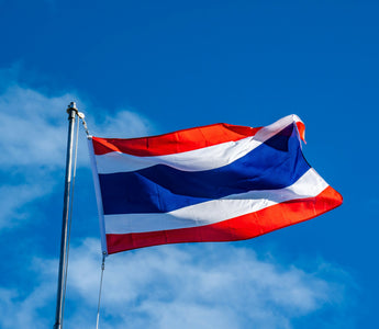 Best Vagus Nerve Stimulation Devices in Thailand - Pulsetto