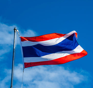 Best Vagus Nerve Stimulation Devices in Thailand - Pulsetto
