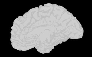 How Nerve Stimulation Therapy Retrains Your Nervous System