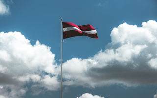 Best Vagus Nerve Stimulation Devices in Latvia - Pulsetto