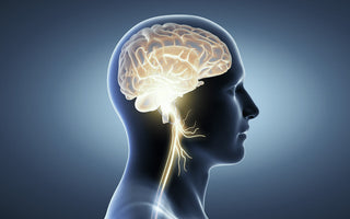 How to activate the parasympathetic nervous system?