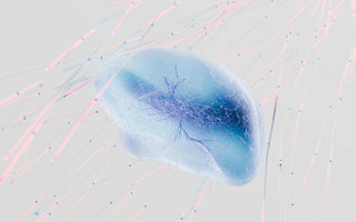 Best Biohacking Products in 2026 - Pulsetto