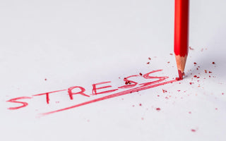 Best Stress Relief Products in 2026 - Pulsetto