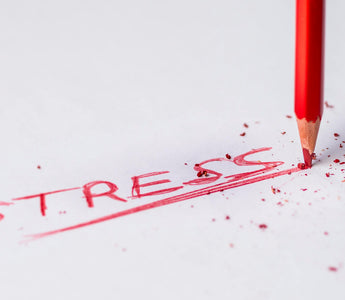 Best Stress Relief Products in 2026 - Pulsetto