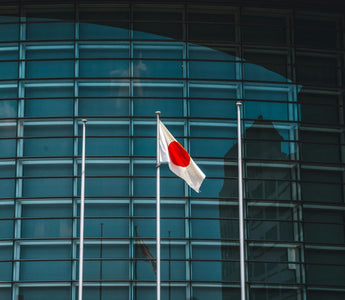 Best Vagus Nerve Stimulation Devices in Japan - Pulsetto