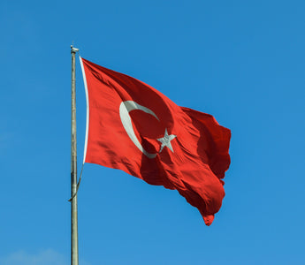 Best Vagus Nerve Stimulation Devices in Turkey - Pulsetto