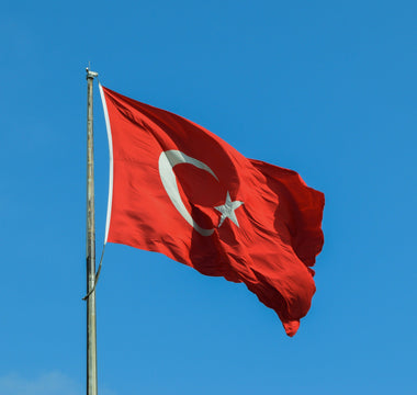 Best Vagus Nerve Stimulation Devices in Turkey - Pulsetto